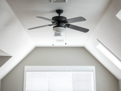 Ceiling fans in Tampa, FL